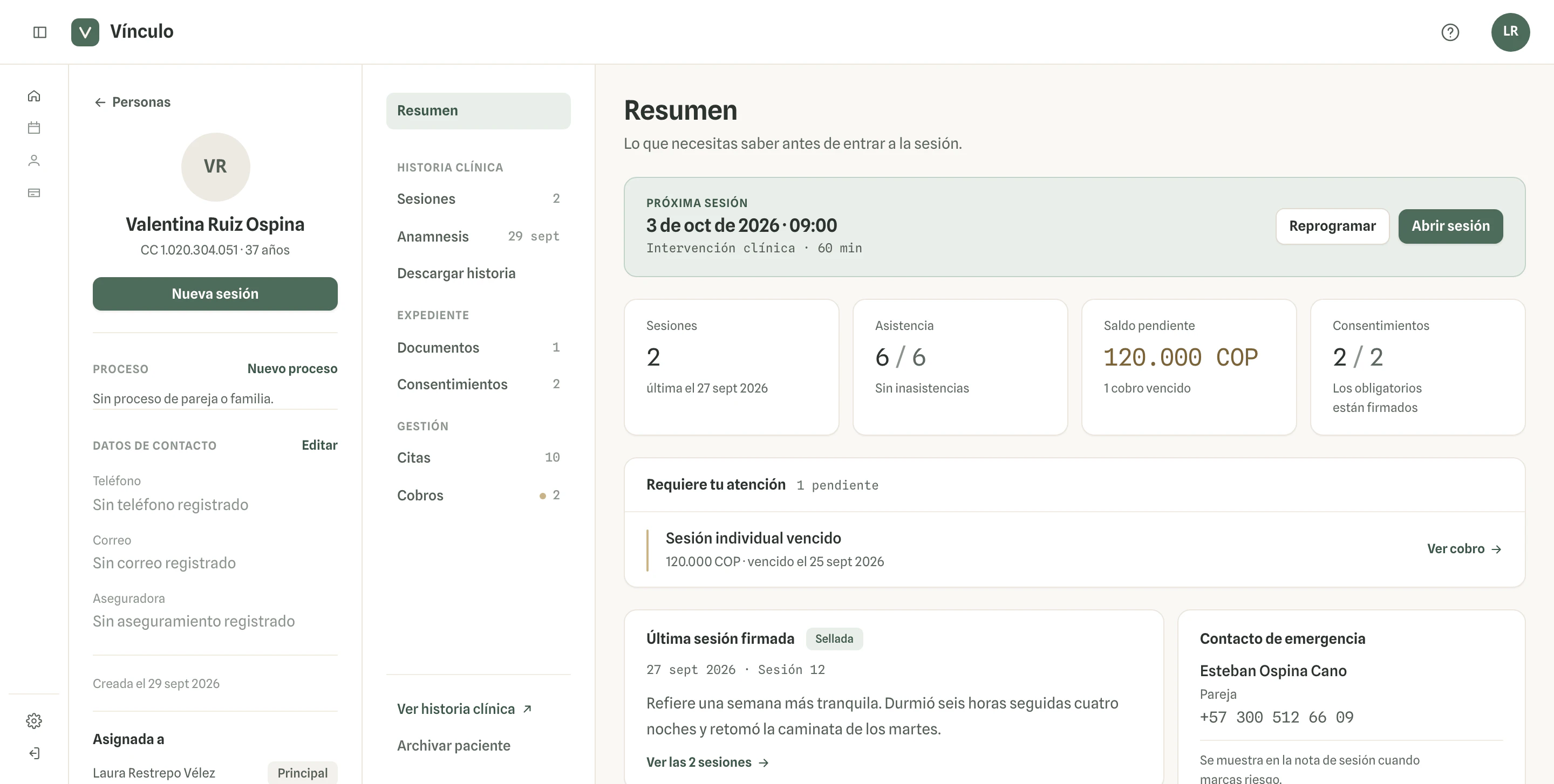Ficha del paciente en Vínculo: resumen, sesiones, documentos y consentimientos